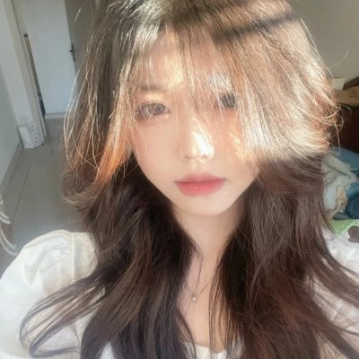 圣诞狗狗救援
