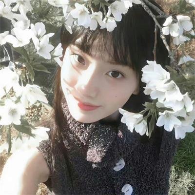 碧庐冤孽